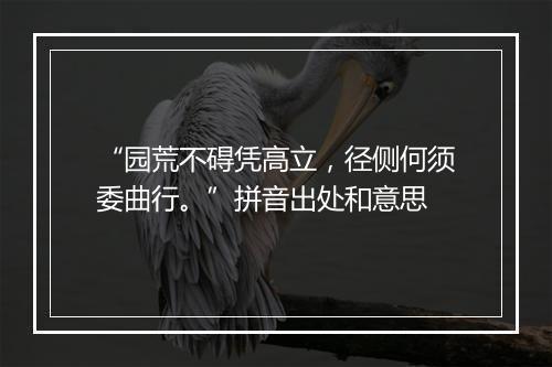 “园荒不碍凭高立，径侧何须委曲行。”拼音出处和意思