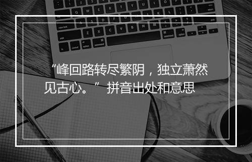 “峰回路转尽繁阴，独立萧然见古心。”拼音出处和意思