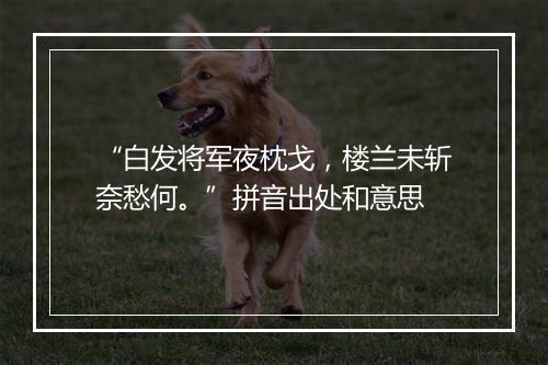 “白发将军夜枕戈，楼兰未斩奈愁何。”拼音出处和意思