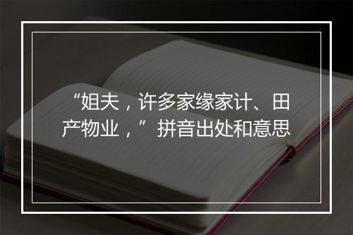 “姐夫，许多家缘家计、田产物业，”拼音出处和意思