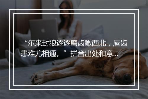 “尔来封狼逐逐磨齿瞰西北，唇齿患难尤相通。”拼音出处和意思