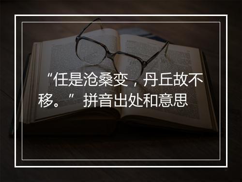 “任是沧桑变，丹丘故不移。”拼音出处和意思