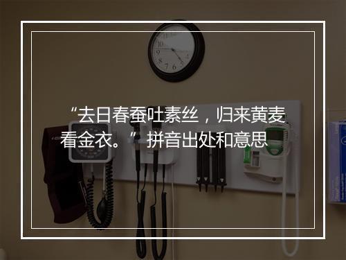 “去日春蚕吐素丝，归来黄麦看金衣。”拼音出处和意思