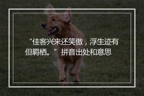 “佳客兴来还笑傲，浮生迹有但羁栖。”拼音出处和意思