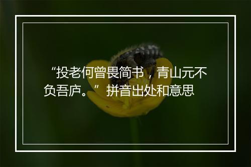 “投老何曾畏简书，青山元不负吾庐。”拼音出处和意思