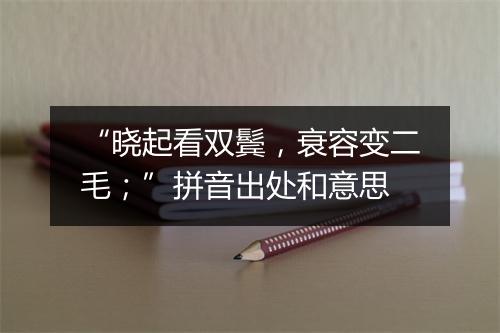 “晓起看双鬓，衰容变二毛；”拼音出处和意思