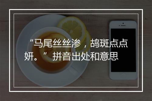 “马尾丝丝渗，鸪斑点点妍。”拼音出处和意思