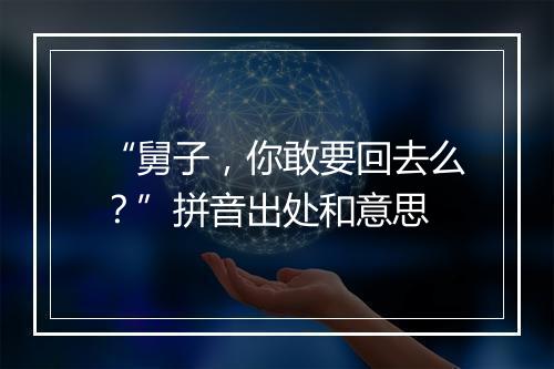 “舅子，你敢要回去么？”拼音出处和意思