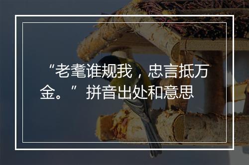 “老耄谁规我，忠言抵万金。”拼音出处和意思