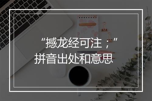 “撼龙经可注；”拼音出处和意思