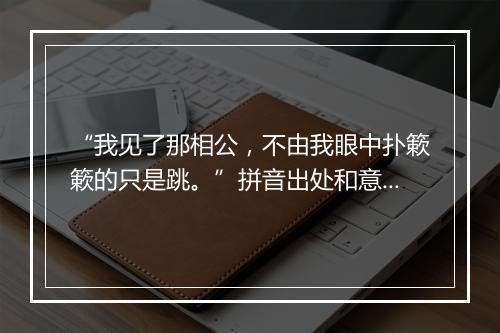 “我见了那相公，不由我眼中扑簌簌的只是跳。”拼音出处和意思