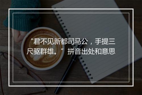 “君不见新都司马公，手提三尺驱群雄。”拼音出处和意思