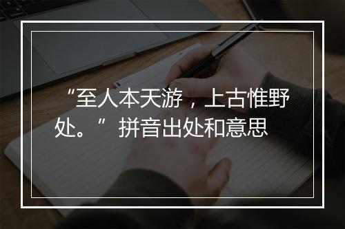 “至人本天游，上古惟野处。”拼音出处和意思