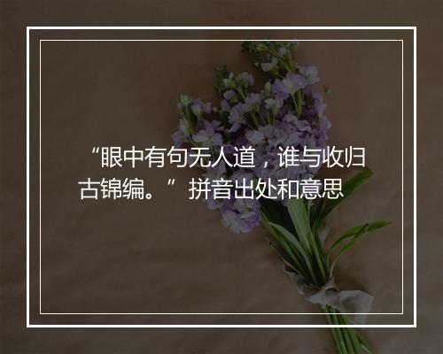 “眼中有句无人道，谁与收归古锦编。”拼音出处和意思