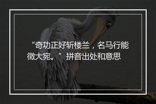 “奇功正好斩楼兰，名马行能徵大宛。”拼音出处和意思