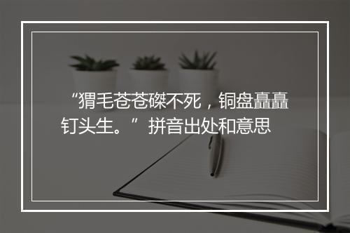 “猬毛苍苍磔不死，铜盘矗矗钉头生。”拼音出处和意思