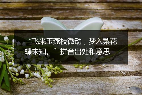 “飞来玉燕枝微动，梦入梨花蝶未知。”拼音出处和意思