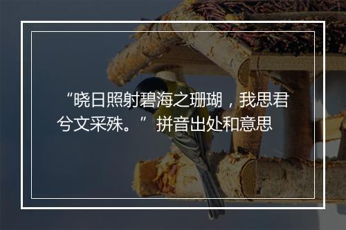 “晓日照射碧海之珊瑚，我思君兮文采殊。”拼音出处和意思