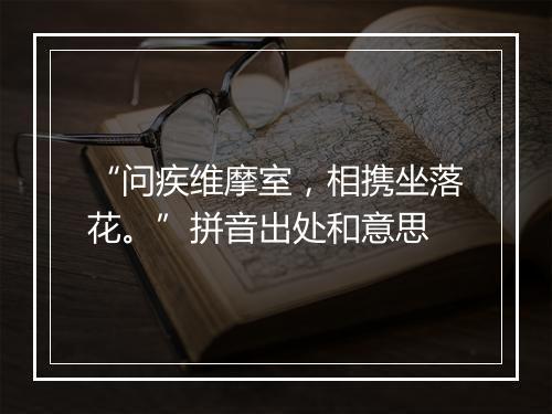 “问疾维摩室，相携坐落花。”拼音出处和意思