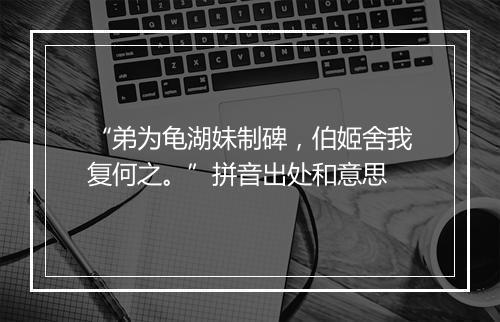 “弟为龟湖妹制碑，伯姬舍我复何之。”拼音出处和意思