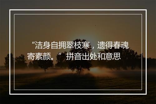 “洁身自拥翠枝寒，遗得春魂寄素颜。”拼音出处和意思