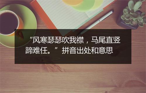 “风寒瑟瑟吹我襟，马尾直竖蹄难任。”拼音出处和意思