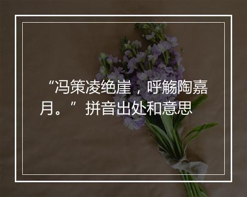 “冯策凌绝崖，呼觞陶嘉月。”拼音出处和意思