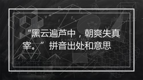 “黑云遍芦中，朝爽失真宰。”拼音出处和意思