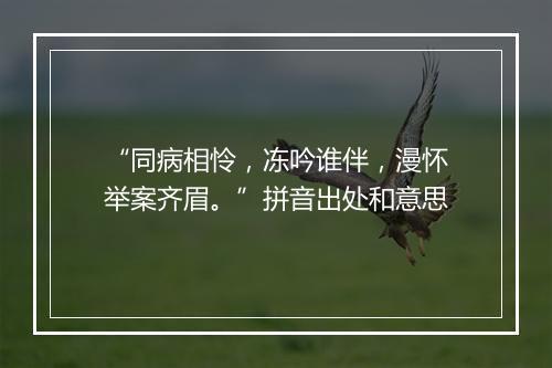 “同病相怜，冻吟谁伴，漫怀举案齐眉。”拼音出处和意思