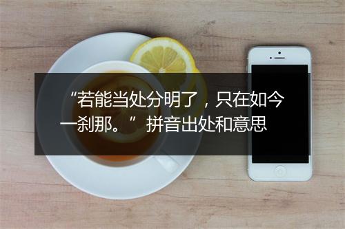 “若能当处分明了，只在如今一刹那。”拼音出处和意思