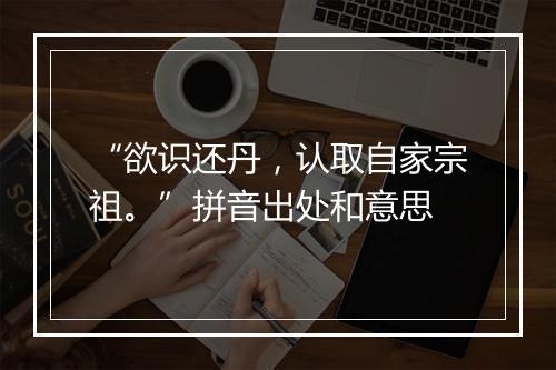 “欲识还丹，认取自家宗祖。”拼音出处和意思