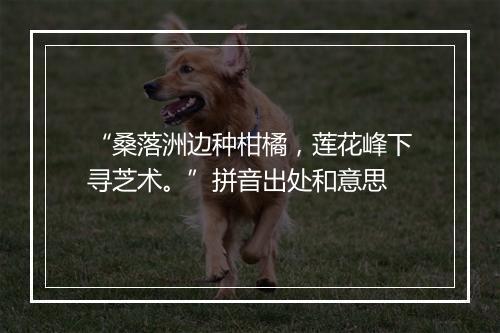 “桑落洲边种柑橘，莲花峰下寻芝术。”拼音出处和意思