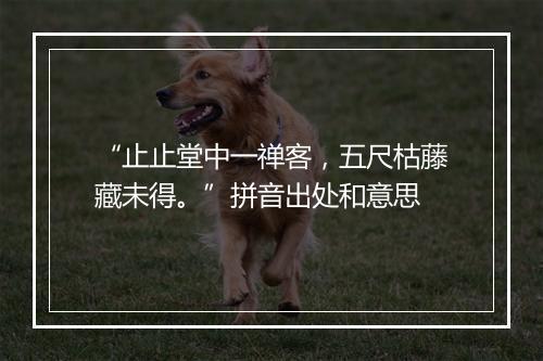 “止止堂中一禅客，五尺枯藤藏未得。”拼音出处和意思