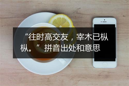 “往时高交友，宰木已枞枞。”拼音出处和意思