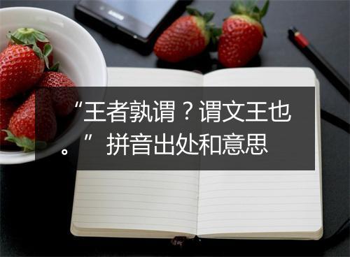 “王者孰谓？谓文王也。”拼音出处和意思