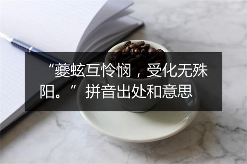 “夔蚿互怜悯，受化无殊阳。”拼音出处和意思