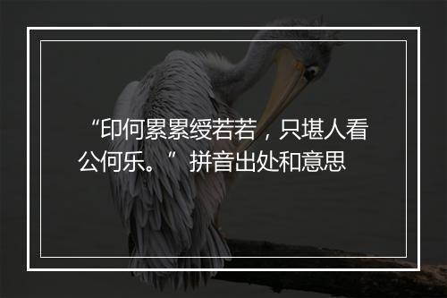 “印何累累绶若若，只堪人看公何乐。”拼音出处和意思