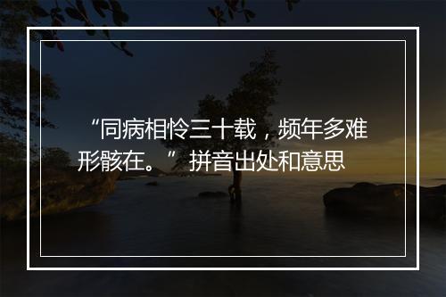 “同病相怜三十载，频年多难形骸在。”拼音出处和意思