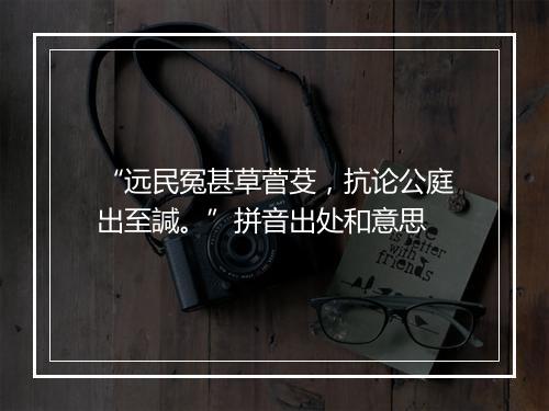 “远民冤甚草菅芟，抗论公庭出至諴。”拼音出处和意思