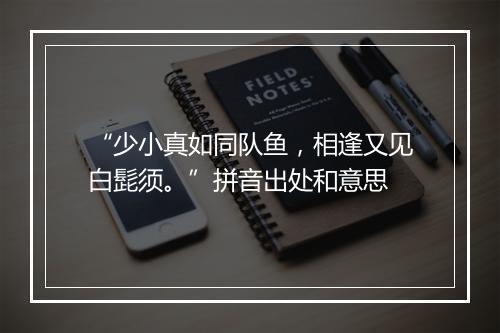 “少小真如同队鱼，相逢又见白髭须。”拼音出处和意思