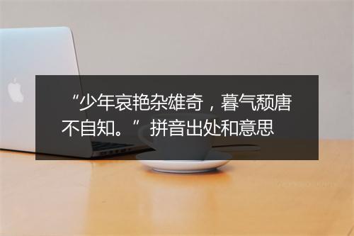 “少年哀艳杂雄奇，暮气颓唐不自知。”拼音出处和意思