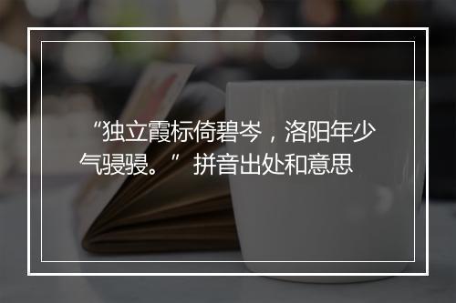 “独立霞标倚碧岑，洛阳年少气骎骎。”拼音出处和意思