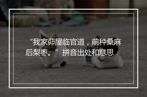 “我家茆屋临官道，前种桑麻后梨枣。”拼音出处和意思