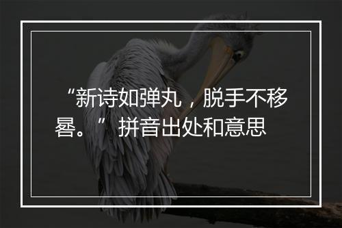 “新诗如弹丸，脱手不移晷。”拼音出处和意思