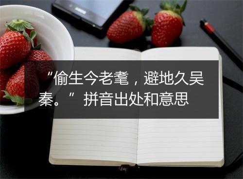 “偷生今老耄，避地久吴秦。”拼音出处和意思