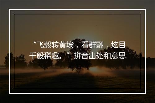 “飞毂转黄埃，看群翾，炫目千般稀趣。”拼音出处和意思