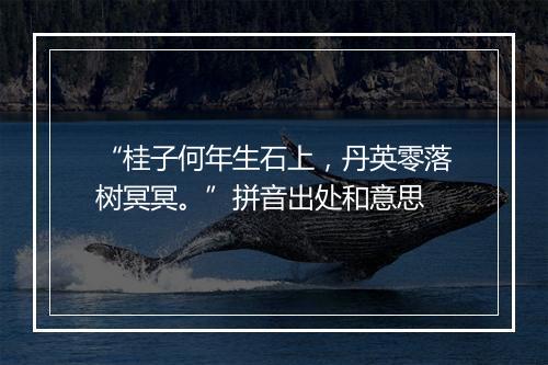 “桂子何年生石上，丹英零落树冥冥。”拼音出处和意思