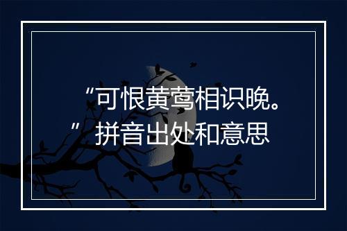 “可恨黄莺相识晚。”拼音出处和意思