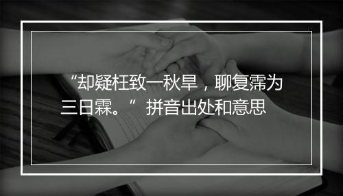 “却疑枉致一秋旱，聊复霈为三日霖。”拼音出处和意思