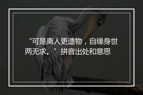 “可是离人更遗物，自缘身世两无求。”拼音出处和意思